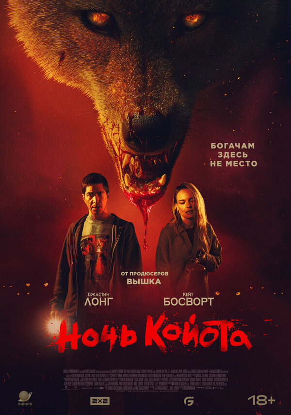 Ночь койота постер